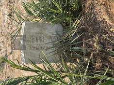 BAGHDAD (NORTH GATE) WAR CEMETERY - SHREAD, T A